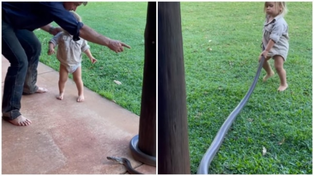 Crocodile hunter's 2-yr-old son helps him move giant snake in viral video. Internet is furious