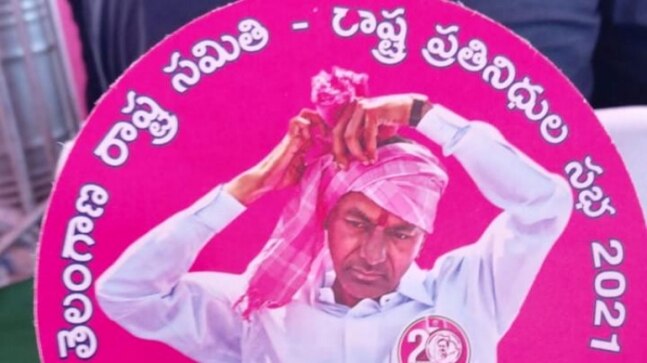 Hyderabad in sea of pink as TRS celebrates 20 years of its formation