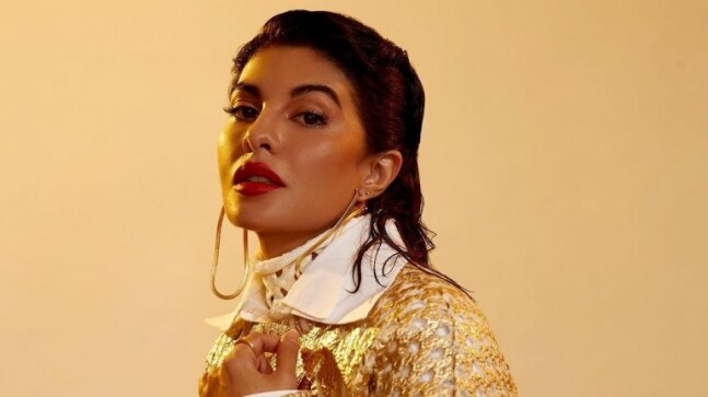 Actor Jacqueline Fernandez's financial transactions under ED scanner in Rs 200 crore money laundering case