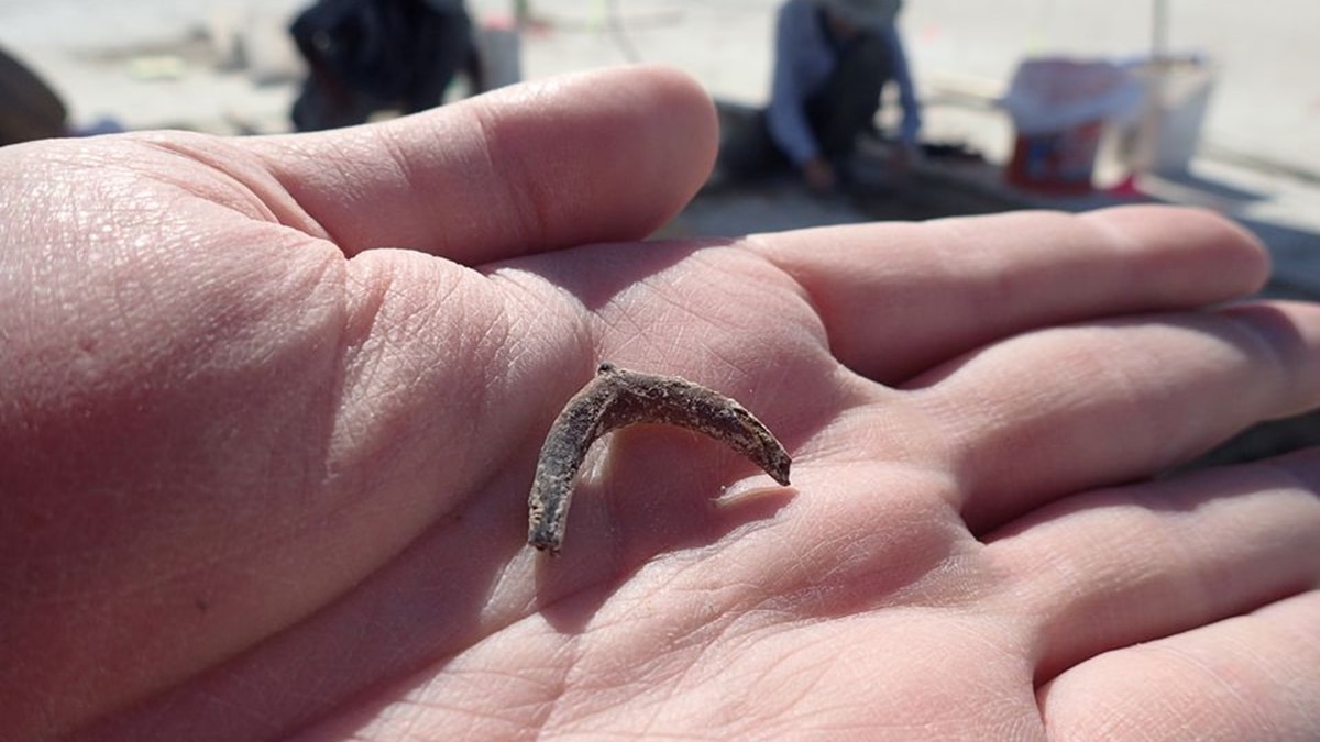Tobacco chewing habit could be 12,300 years old, new evidence suggest