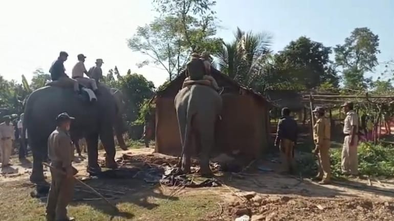 Assam government carries out eviction drive against illegal settlers in Lumding reserve forest - India News