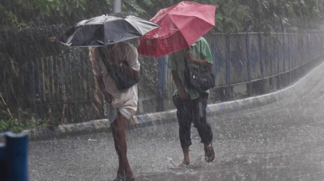 2 toddlers die in rain-related incidents in Kerala, heavy downpour disrupts life