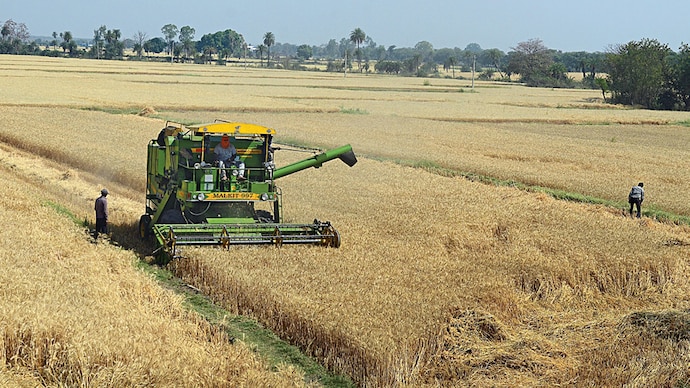 Most improved big state in agriculture: Madhya Pradesh