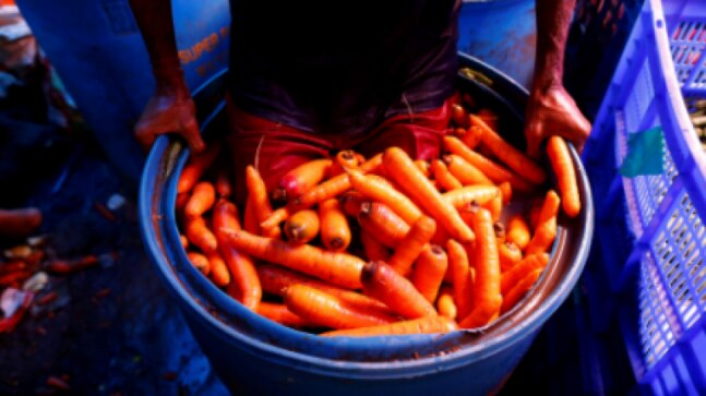 India's price-fixing probe of global seed firms sparked by carrot farmers - Vimarsana News