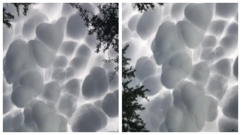 Argentine Cloud Christmas 2021 Dt6bhcfwk5zfvm Argentine Cloud Christmas 2021 Dt6bhcfwk5zfvm