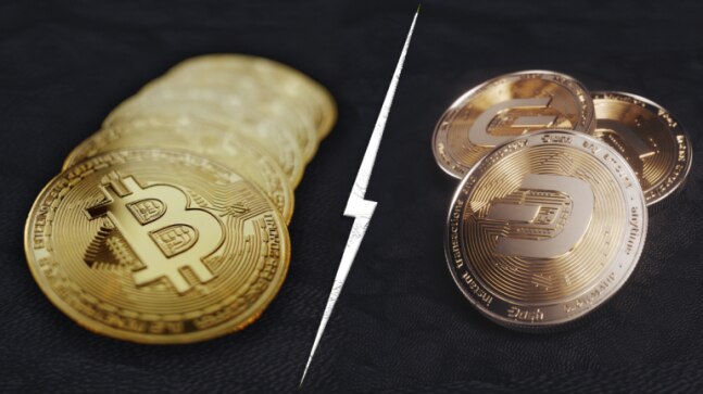 Public vs private cryptocurrency: What is the difference and what the proposed ban means - Vimarsana News