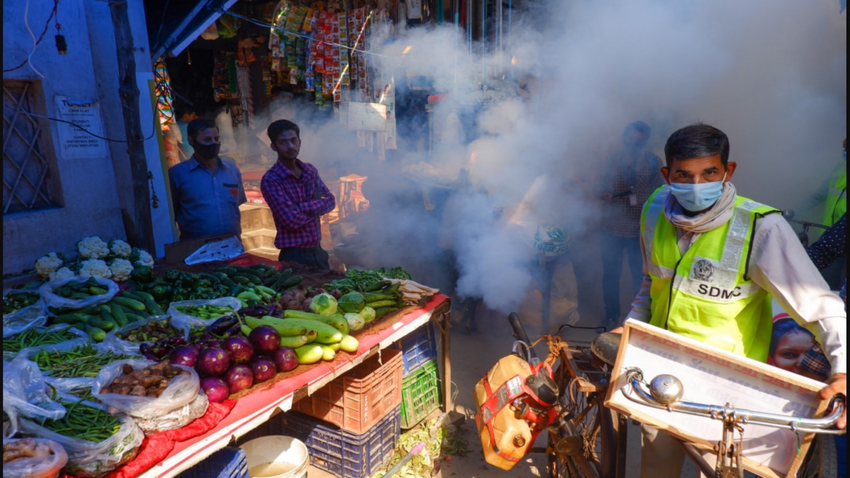 Chandigarh reports 218 dengue cases this month, tally crosses 1,000 mark