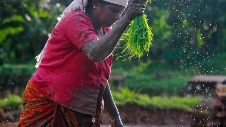 Pm Kisan 10th Installment Date 21 Beneficiary Status New Registration And Required Documents Information News Pm Kisan 10th Installment Date 21 Beneficiary Status New Registration And Required Documents Information News