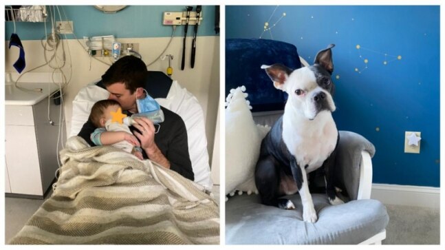 Twitter user shares how pet dog saved her baby daughter's life. Viral Twitter thread - Vimarsana News
