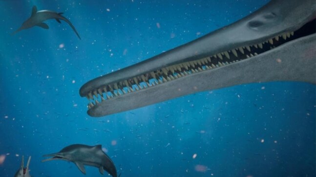 Global extinction event led to evolution of weapon-like teeth in marine reptiles - Vimarsana News
