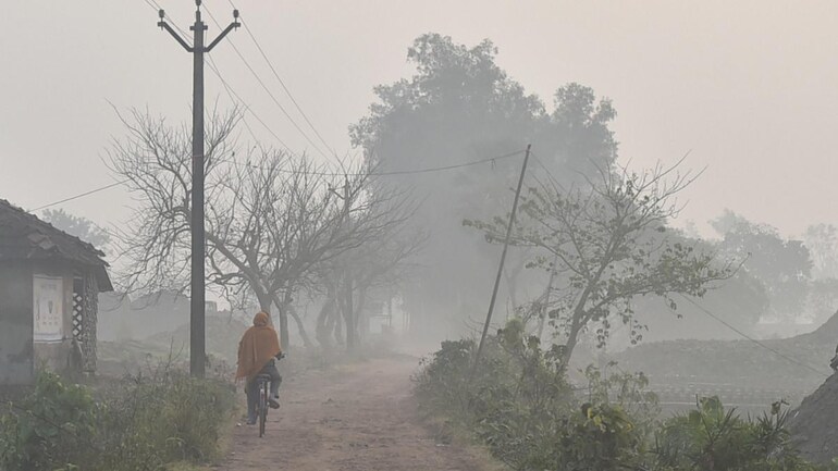 No cold wave in most parts of India till January 5: IMD - India News