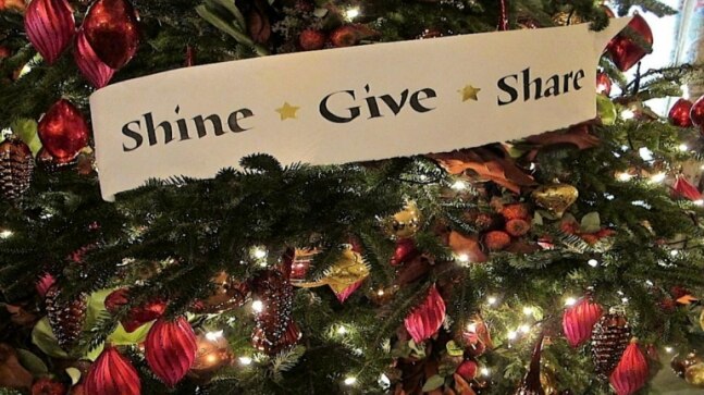 Bengaluru Church builds 25-feet eco-friendly Christmas tree with recyclable materials