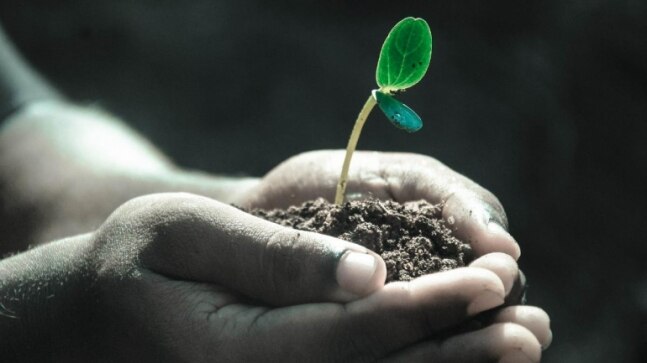 World Soil Day 2021: Aim, importance, history, theme, significance, quotes and messages - Vimarsana News