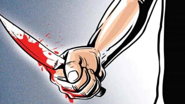 2 persons stabbed in a brawl over rude remark in West Delhi; 1 arrested