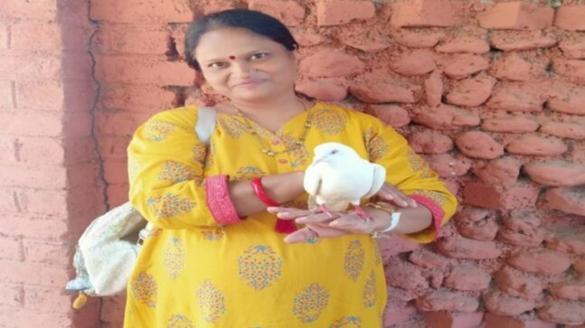 Pune: Woman passenger drives mini-bus for first time after driver faints, saves his life