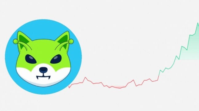 Alien Shiba Inu, another meme coin, turns Rs 1 lakh to Rs 26 lakh plus in a day