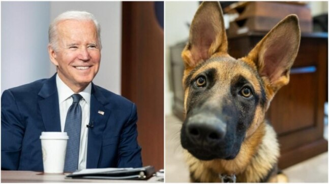 Joe Biden shares adorable pic of pet dog Commander on Instagram. Don't miss the caption