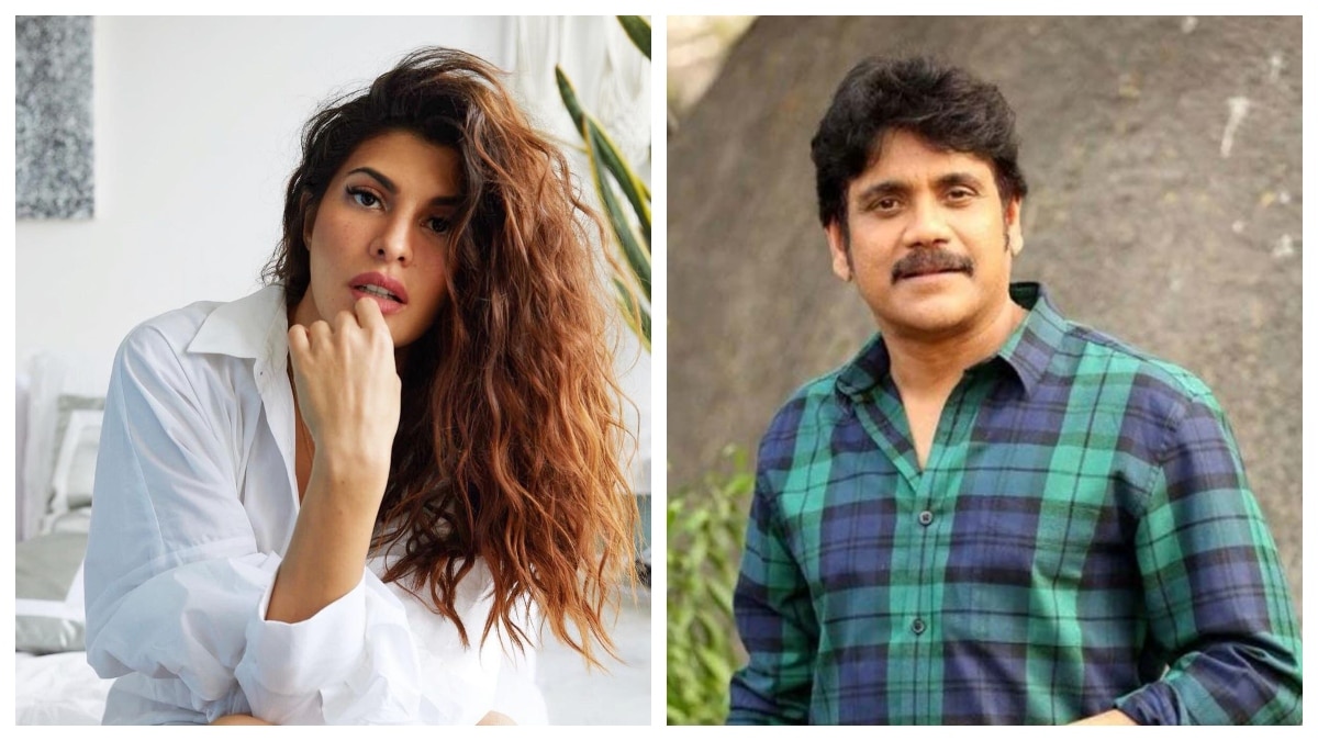 jacqueline leave nagarjuna movie