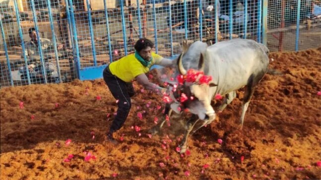 16-year-old Madurai girl to release bull at Alanganallur Jallikattu