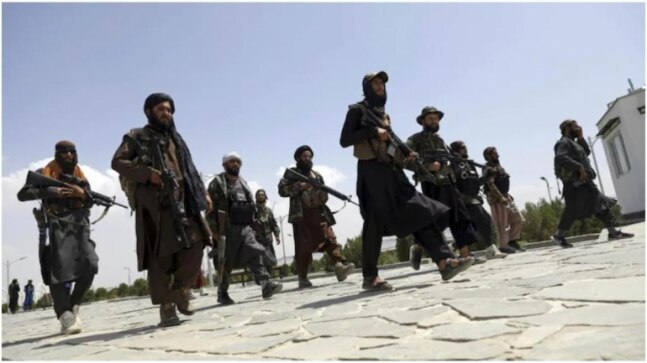 Taliban free popular Afghan professor critical of government