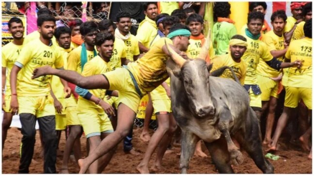 Tamil Nadu Jallikattu guidelines: Only 300 bull tamers allowed, negative Covid result mandatory
