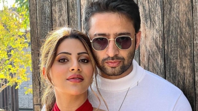 Shaheer Sheikh and Nikki Tamboli collaborate for new music video. Fans can't keep calm