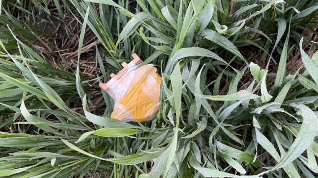 Punjab: Drone drops bombs in Amritsar, flees to Pakistan after BSF opens fire