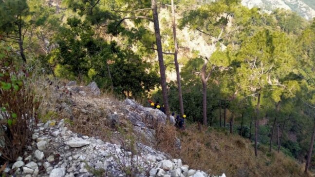 11 dead after vehicle falls into gorge in Uttarakhand's Kumaon