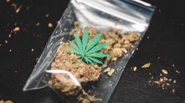 Goa Police recovers narcotics from villa leased to I-PAC, one member arrested - Vimarsana News