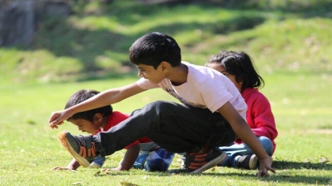 Patna to get 23 new parks by February | Check details - Vimarsana News