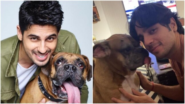 Sidharth Malhotra remembers his dog Oscar, says he was my family in Mumbai for 11 years