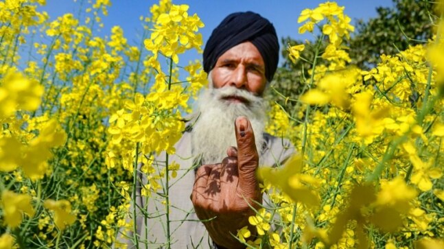 Does a drop in voter turnout in Punjab indicate anti-incumbency? - Vimarsana News