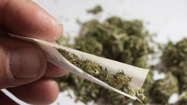 Kochi Police seized 134 kg of ganja in year 2021: RTI - Vimarsana News