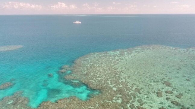 Climate change: UN panel flags Great Barrier Reef devastation - Vimarsana News