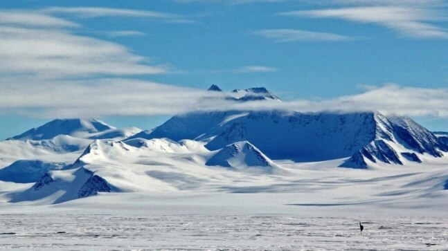 Antarctica hits record temperatures, say experts - Vimarsana News