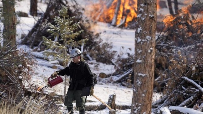 Their goal is to cut and burn enough vegetation that the next fire here won't be as catastrophic as ones that leveled vast forestland and neighborhoods in Colorado, California, Oregon, Montana and elsewhere. Western wildfires have become more volatile as - Vimarsana News