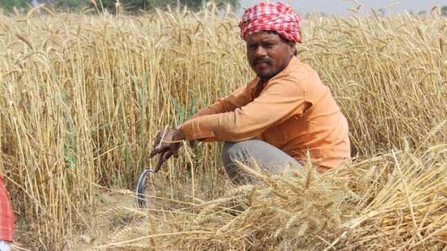 How the Russia-Ukraine war may affect India’s platter