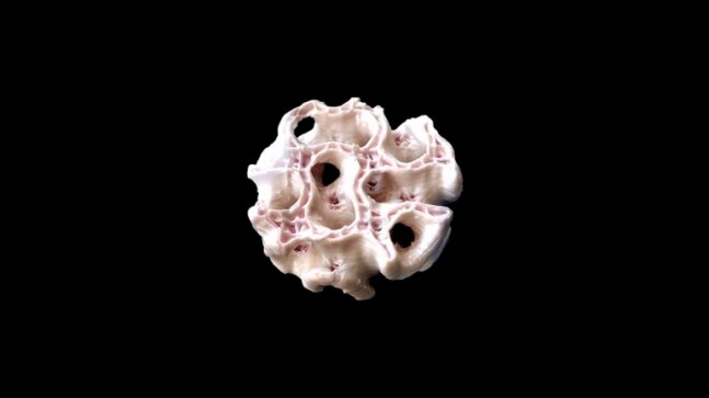 Scientists produce 3D printed bone for astronauts to be used on Mars - Vimarsana News