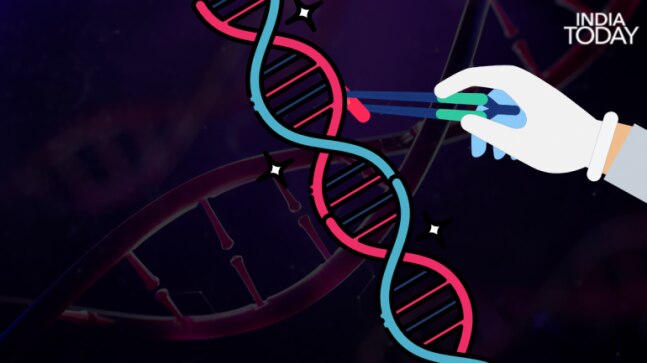 We finally know what makes us. Researchers decode full human genome - Vimarsana News