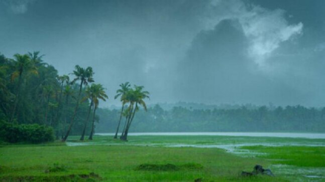 Experience the beauty of every exotic part of Kerala this monsoon - Vimarsana News