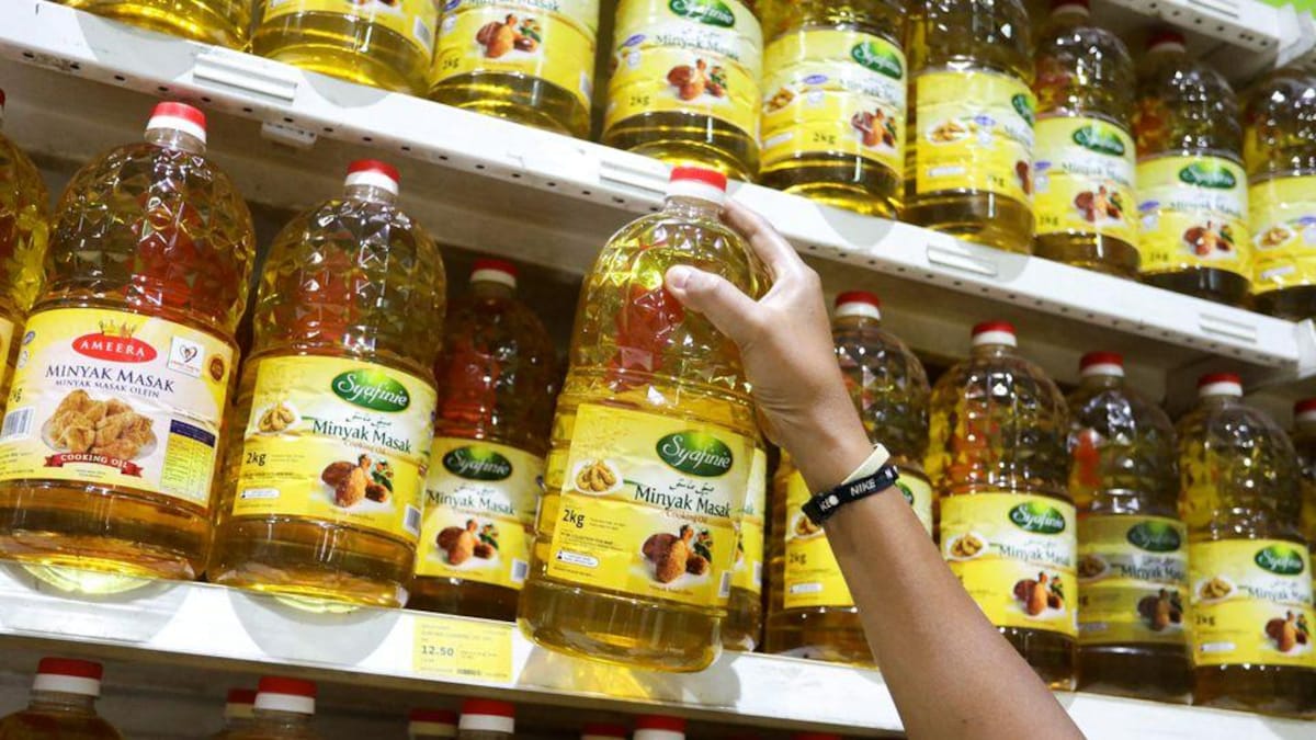 Palm oil price to go up? Impact of export ban by Indonesia in India - Business News