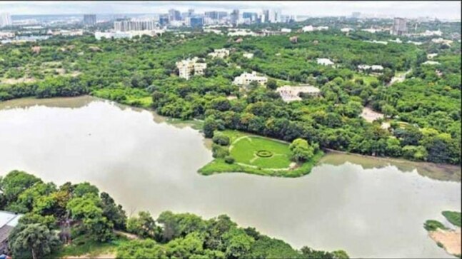 United Nations recognise Hyderabad as one of the 'Tree Cities of the World' - Vimarsana News