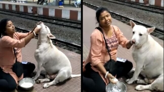 Video of a woman feeding curd rice to stray dog at a railway station in West Bengal is viral. Watch