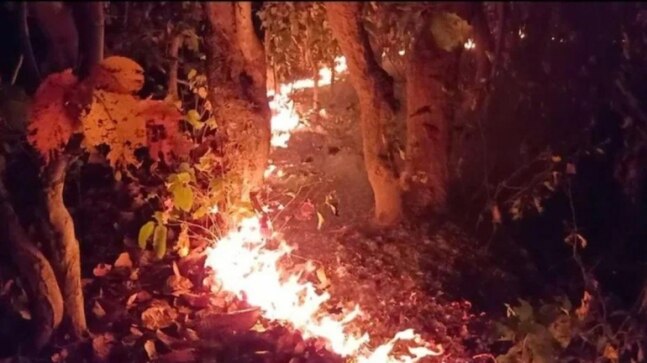 Major forest fire breaks out near Srinagar due to dry spell - Vimarsana News