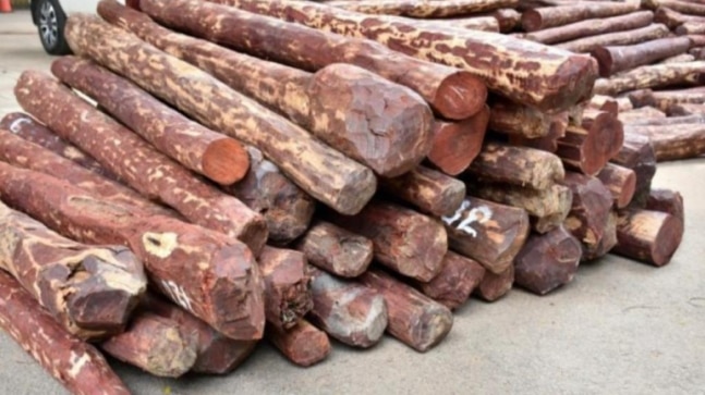 DRI seizes red sanders worth more than Rs 11 crores from export shipment