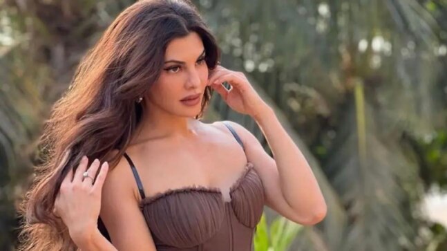 Jacqueline Fernandez withdraws request to travel abroad after ED busts her false claim - Vimarsana News