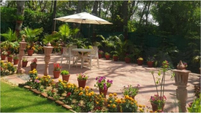 Cure your midweek blues with this Twitter thread of calm. Soothing, is the word for these pics