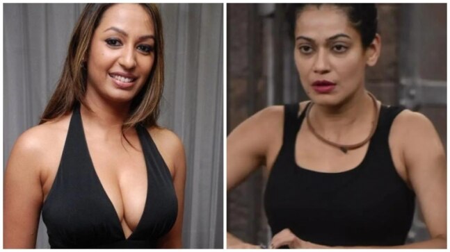 Kashmera Shah comes out in support of Payal after her alcohol abuse revelation, says 'she's telling truth' - Vimarsana News