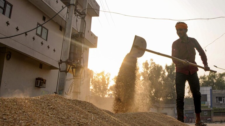 India has banned wheat exports with immediate effect as part of its steps to control the spike in prices at home. (Photo: PTI) India has banned wheat exports with immediate effect as part of its steps to control the spike in prices at home. (Photo: PTI)