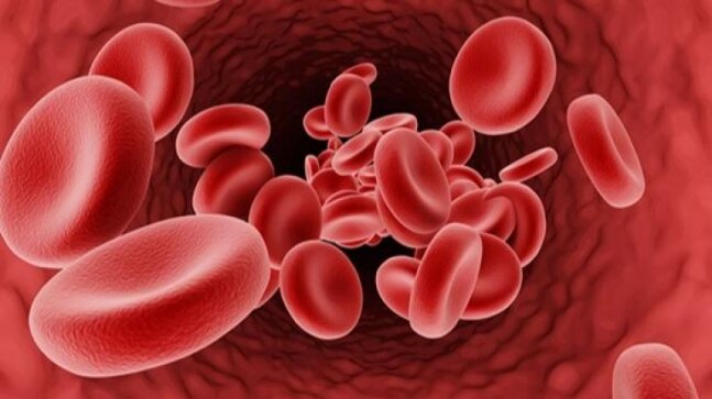 Experts see blood stem cell transplant as a curative treatment for thalassemia - Vimarsana News